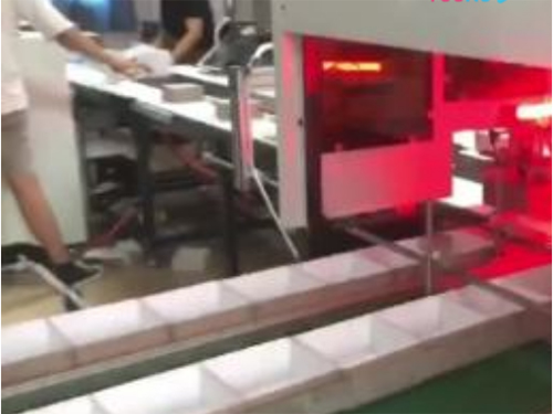 麗水雙視覺定位線,雅馬哈機械手（自動調(diào)模成型機）